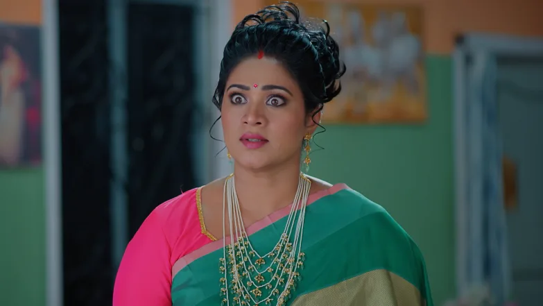 Meghasandesha - July 20, 2025 - Episode Spoiler