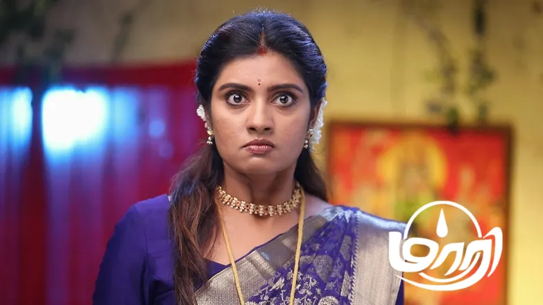 Nagajyothi Attempts to Catch the Parrot Episode 986