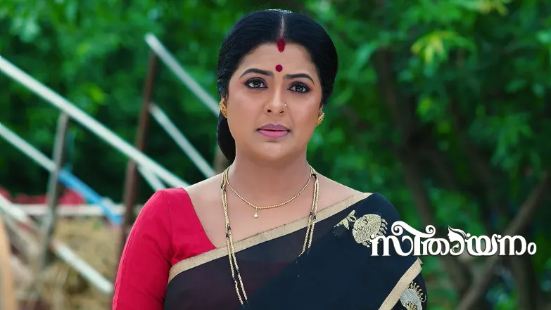 Aadhya Falls into the River Episode 20