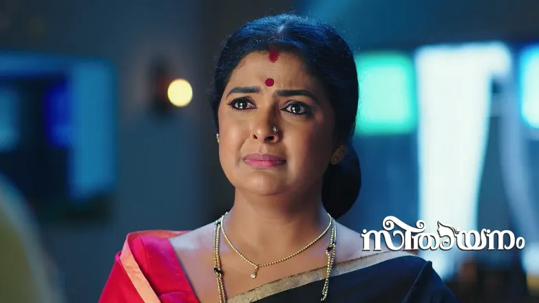 Seethayanam - July 30, 2025 Episode 21