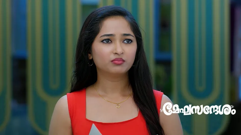Meghasandhesham - August 03, 2025 Episode 28