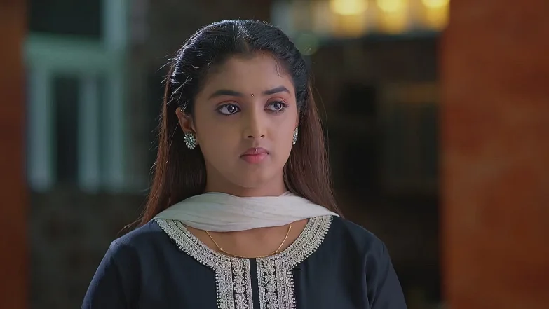 Meghasandesam - July 29, 2025 - Best Scene 