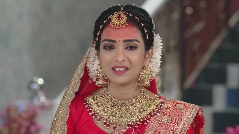 Tuma Bina - August 01, 2025 - Webisode 1st August 2025 Webisode