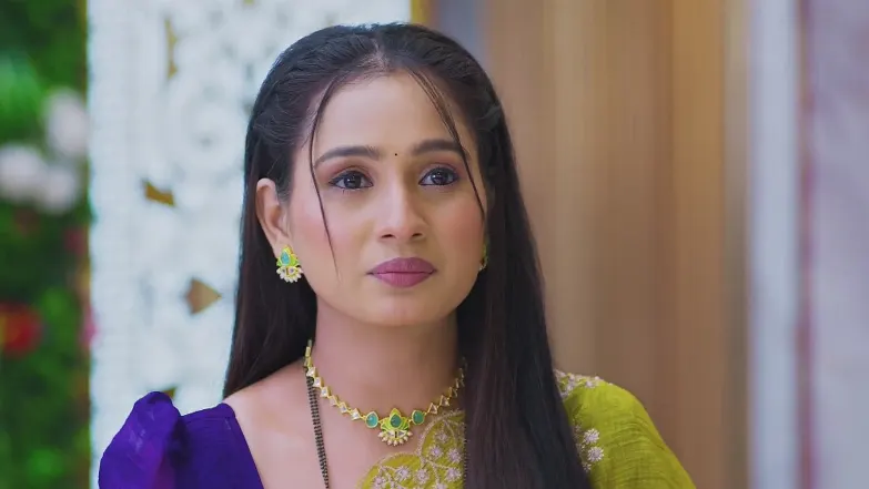 Lakshmi Niwas - August 02, 2025 - Best Scene 