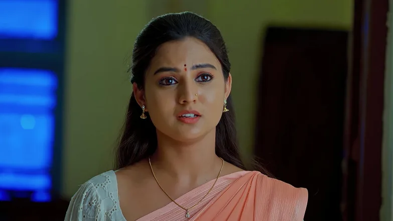 Krishna Helps Ananth and Gayatri Reconcile Episode 77