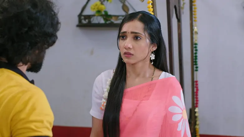 Shravani Subramanya - July 29, 2025 - Episode Spoiler