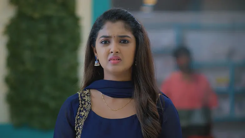 Meghasandesha - July 30, 2025 - Episode Spoiler