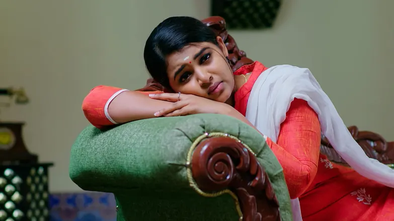 Geetha and Govinda Don Disguises Episode 222