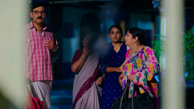 Geetha Govinda - July 30, 2025 - Episode Spoiler