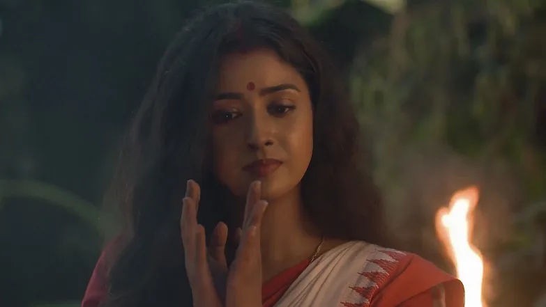 Parineeta - July 30, 2025 - Best Scene 