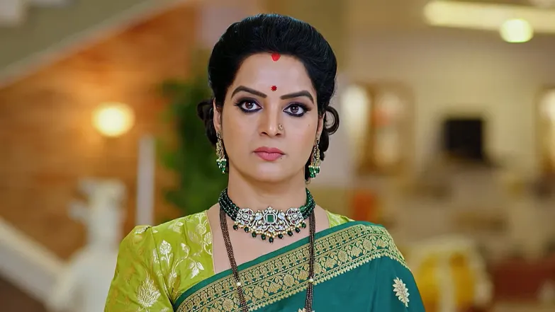 Ananda Bhairavi Learns about Ananya’s Goal Episode 111