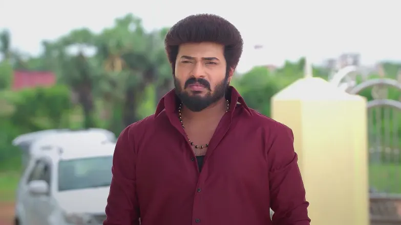 Karthigai Deepam - July 30, 2025 - Best Scene 
