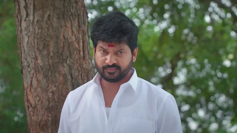 Karthigai Deepam - July 29, 2025 - Best Scene 