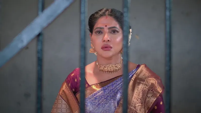 Karthigai Deepam - August 02, 2025 - Best Scene 