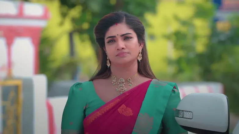 Karthigai Deepam - July 31, 2025 - Best Scene 