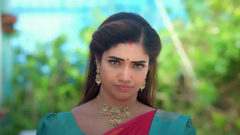 Karthigai Deepam - August 01, 2025 - Episode Spoiler