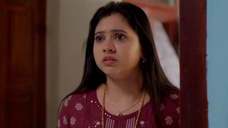 Snehapoorvam Shyama - August 04, 2025 - Episode Spoiler
