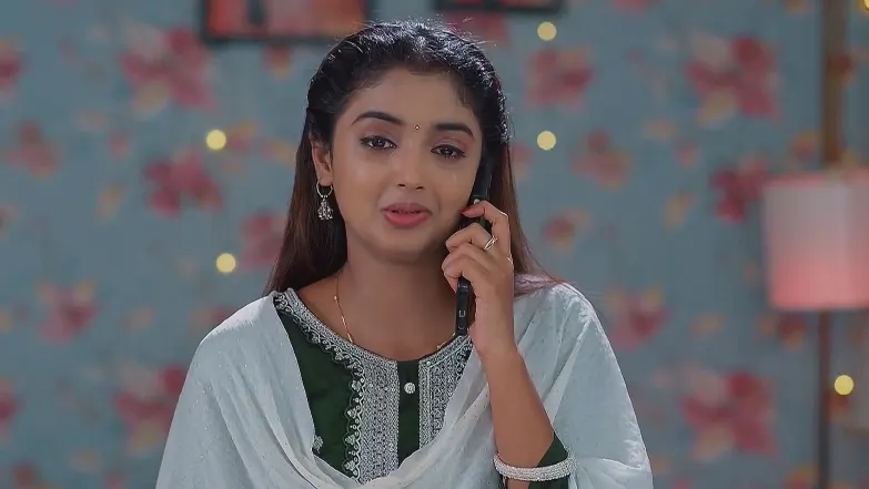 Meghasandesam - August 05, 2025 - Best Scene 