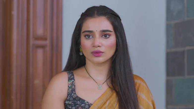 Lakshmi Niwas - August 07, 2025 - Best Scene 
