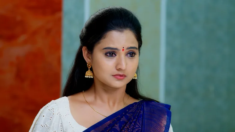 Hrudaya Geethe - August 08, 2025 Episode 87