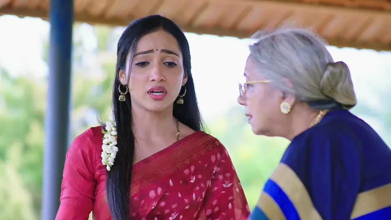 Shravani Subramanya - August 11, 2025 - Episode Spoiler