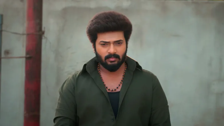 Karthigai Deepam - August 08, 2025 - Episode Spoiler