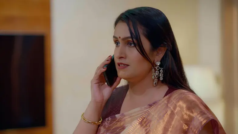 KrishnaGadha - August 11, 2025 - Episode Spoiler