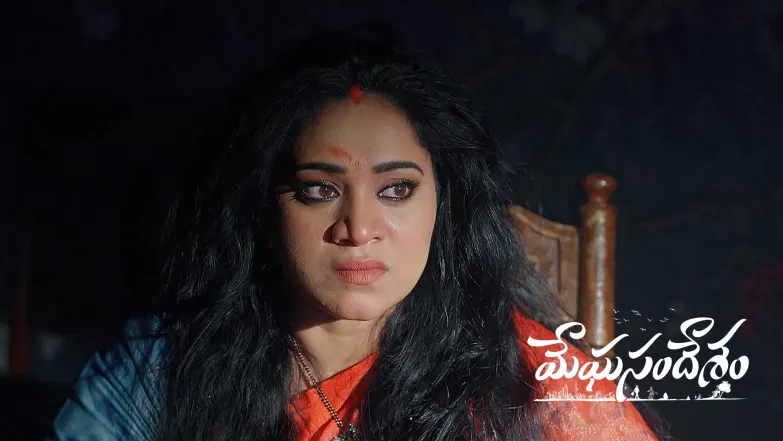 Meghasandesam - August 23, 2025 Episode 396