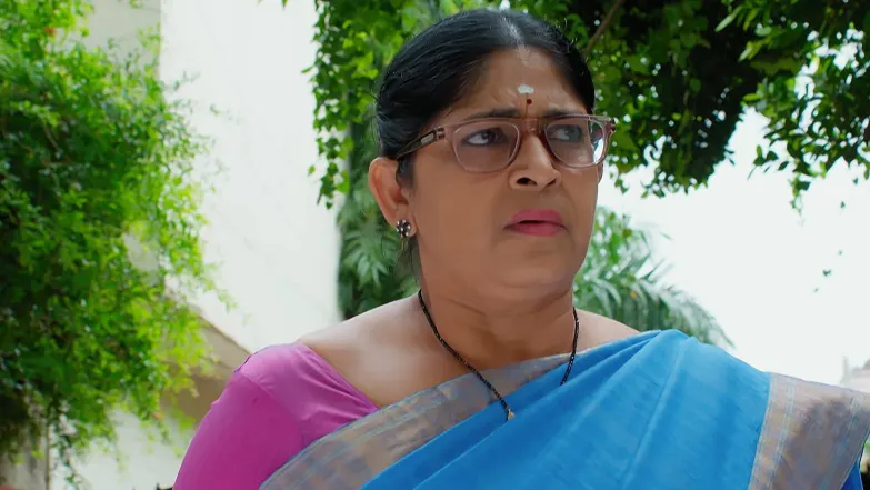 Nindu Noorella Saavasam - August 19, 2025 - Episode Spoiler
