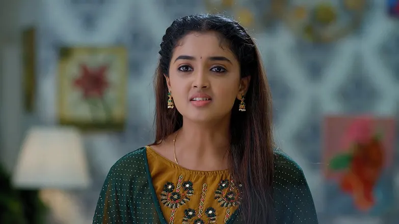 Meghasandesam - August 25, 2025 - Episode Spoiler