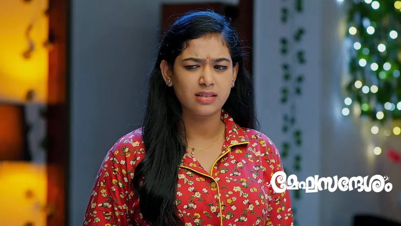 Meghasandhesham - August 24, 2025 Episode 49