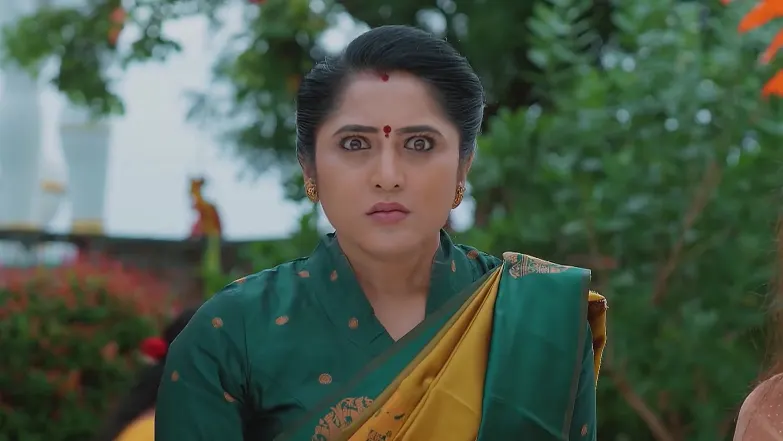Meghasandesam - August 29, 2025 - Best Scene 