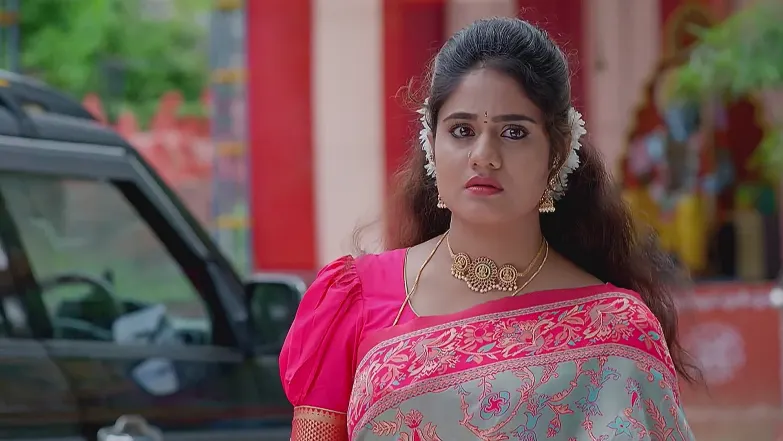 Jagadhatri - August 29, 2025 - Best Scene 