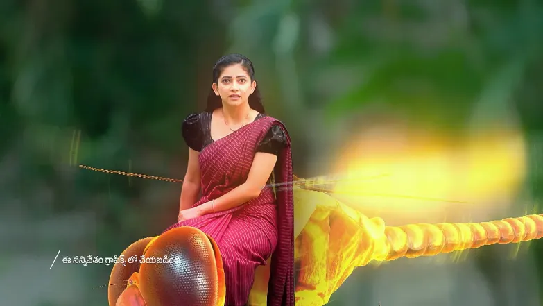 Nindu Noorella Saavasam - August 27, 2025 - Episode Spoiler