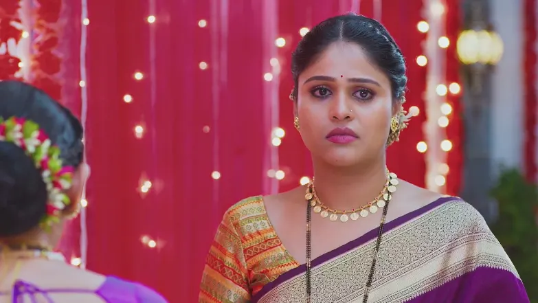 Lakshmi Niwas - August 30, 2025 - Webisode 30th August 2025 Webisode