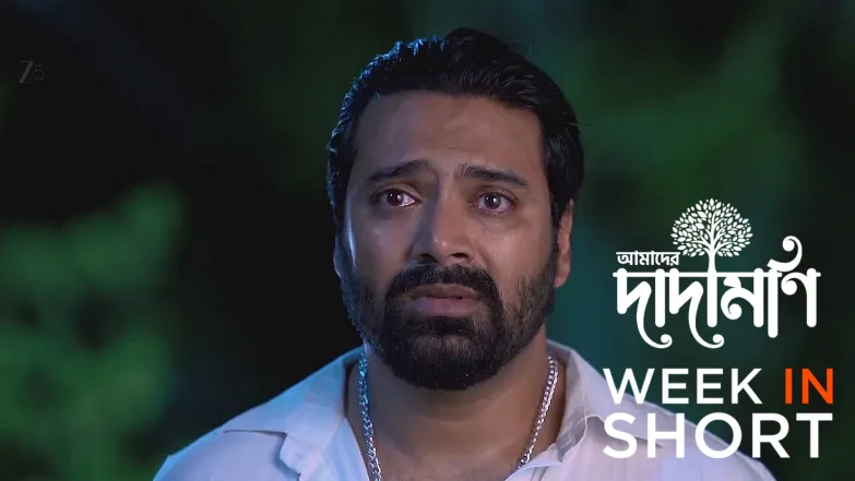 Amader Dadamoni | August 18 - August 23, 2025 24th August 2025 Webisode