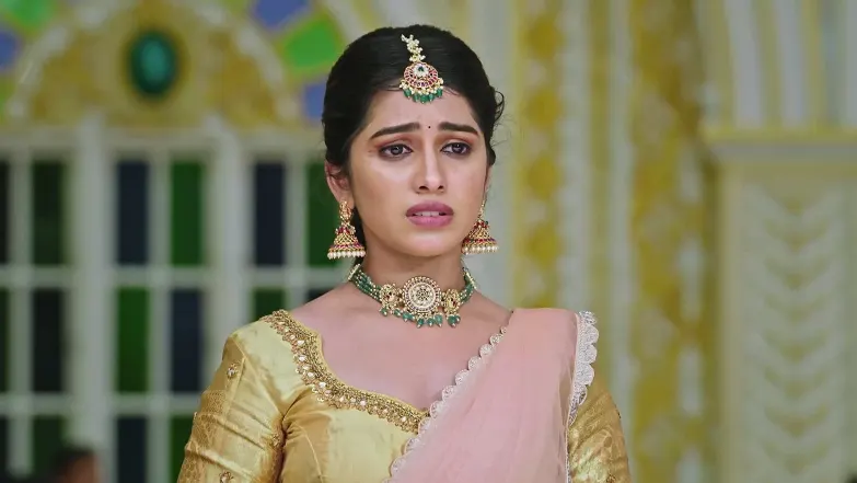 Naa Ninna Bidalaare - August 29, 2025 Episode 156
