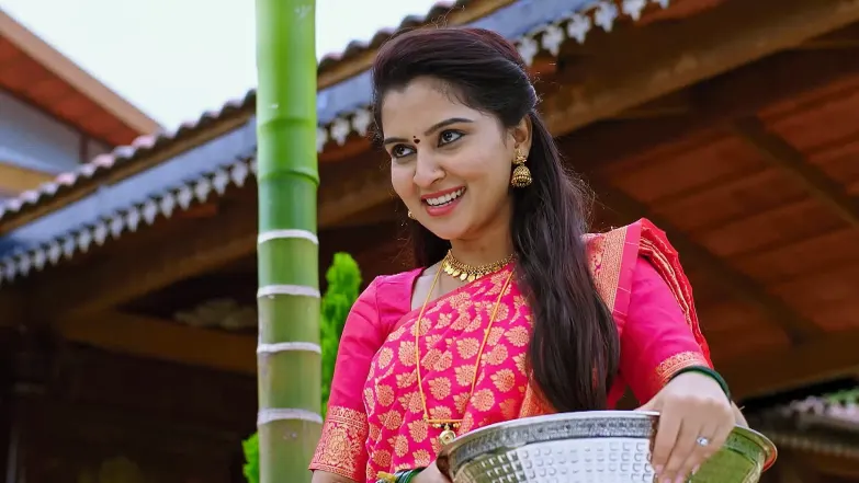 Annayya - August 27, 2025 - Episode Spoiler