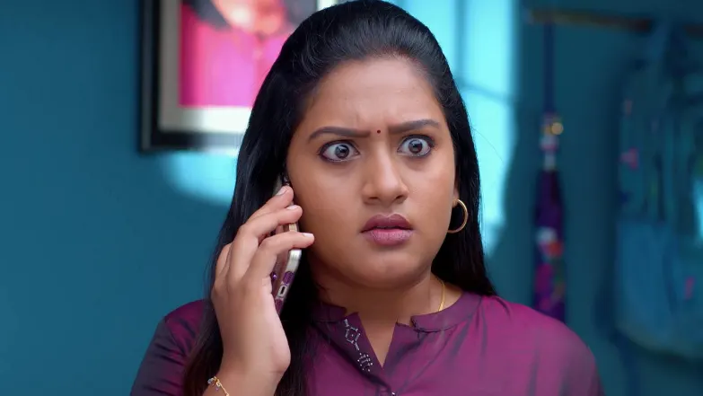 Chinnan Siru Kiliye - August 28, 2025 - Episode Spoiler
