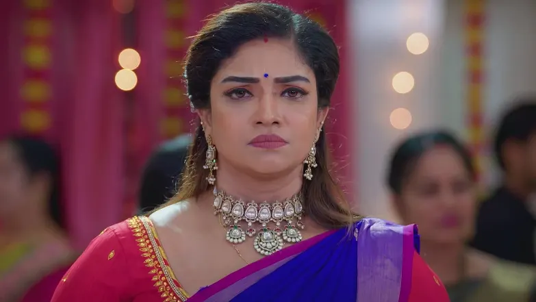 Karthigai Deepam - August 28, 2025 - Best Scene 