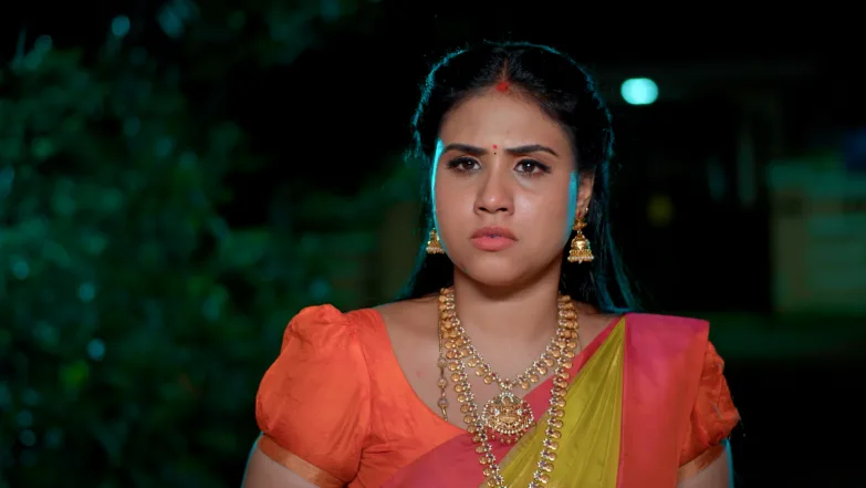 Karthigai Deepam - August 30, 2025 - Episode Spoiler
