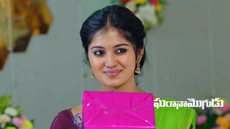 A Mysterious Man Attacks Garudachalam Episode 101