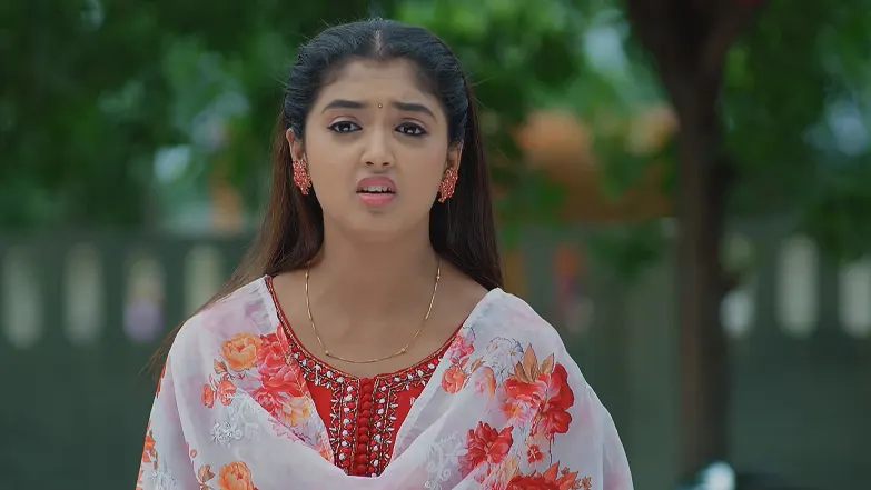 Meghasandesha - September 03, 2025 - Episode Spoiler