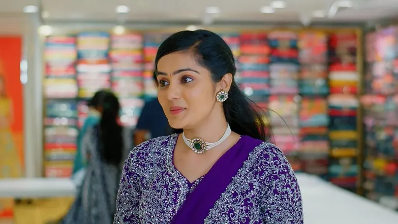 Ananda Bhairavi Meets Vishwanathan, Her Classmate Episode 23