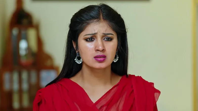 Annapoorneshwari Is Irked by Niranjan’s Growth Episode 25
