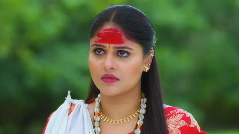 Lakshmi Niwas - September 28, 2025 - Episode Spoiler