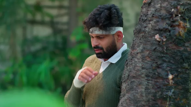Raja Chinna Roja - September 26, 2025 - Episode Spoiler