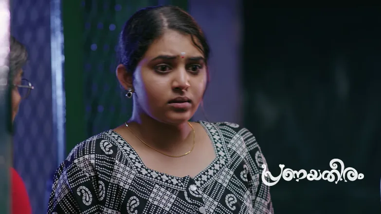 Geetha Distracts Her Family Episode 55
