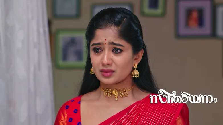 Sreeni Learns about Rajalakshmi's Online Friend Episode 72