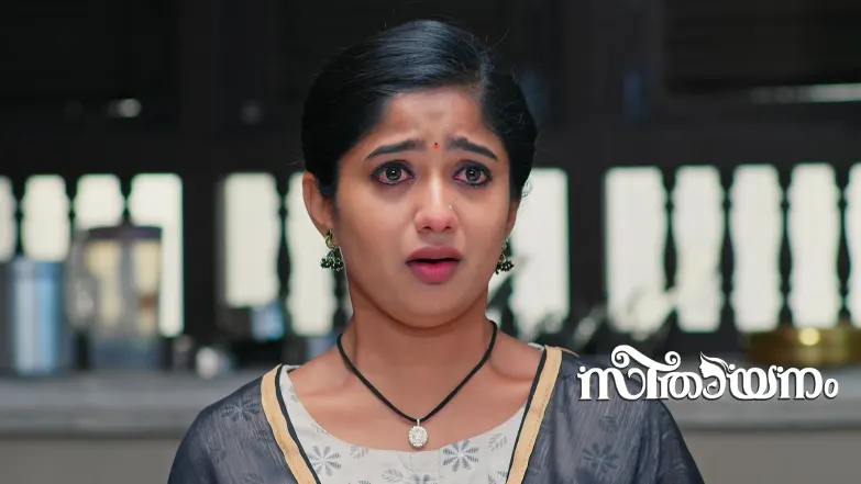 Aadhya Locks Up Sreeni and Charu Episode 73